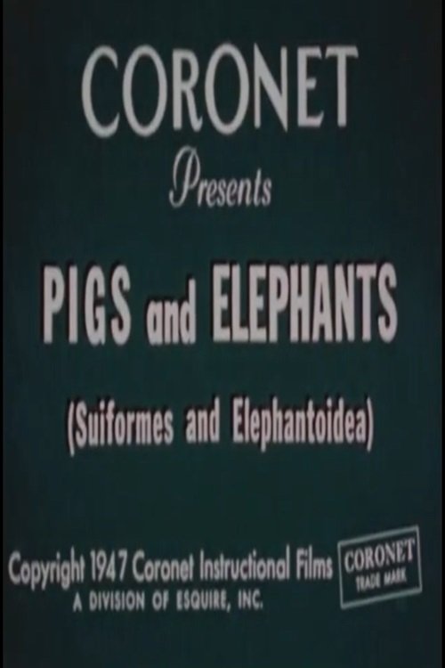 Pigs and Elephants (Suiformes and Elephantoidea) poster