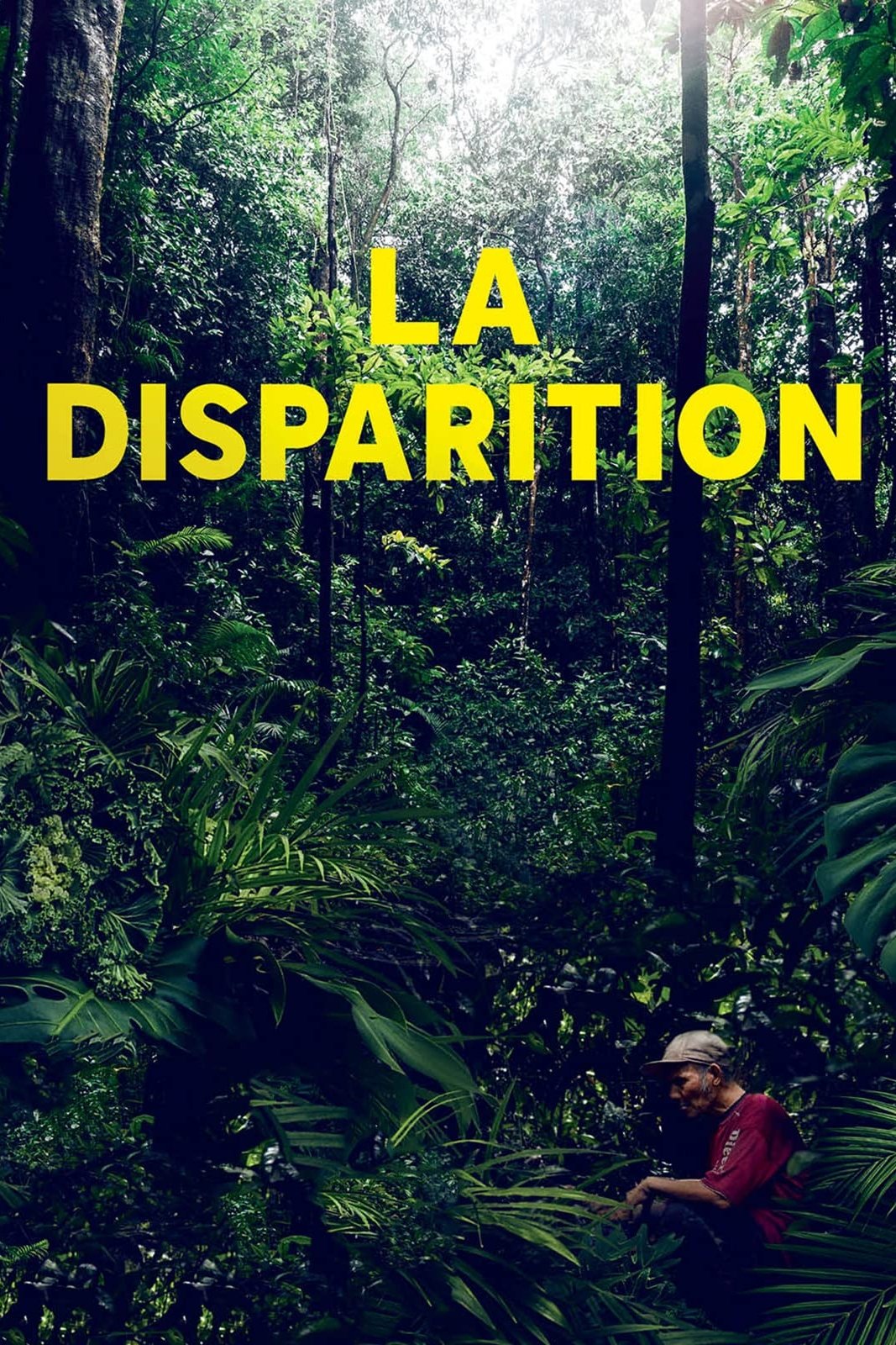 The Disappearance poster