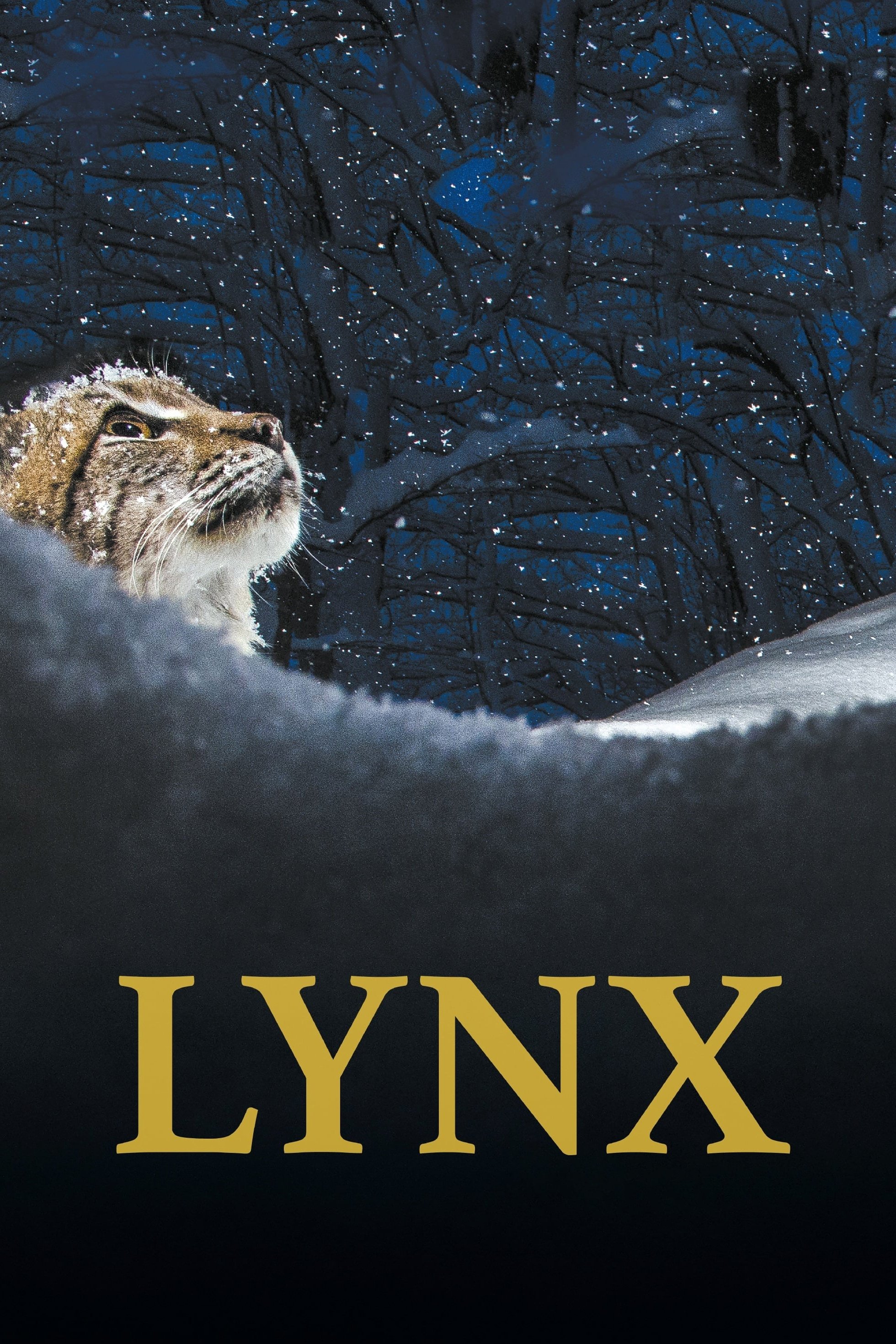 Lynx poster
