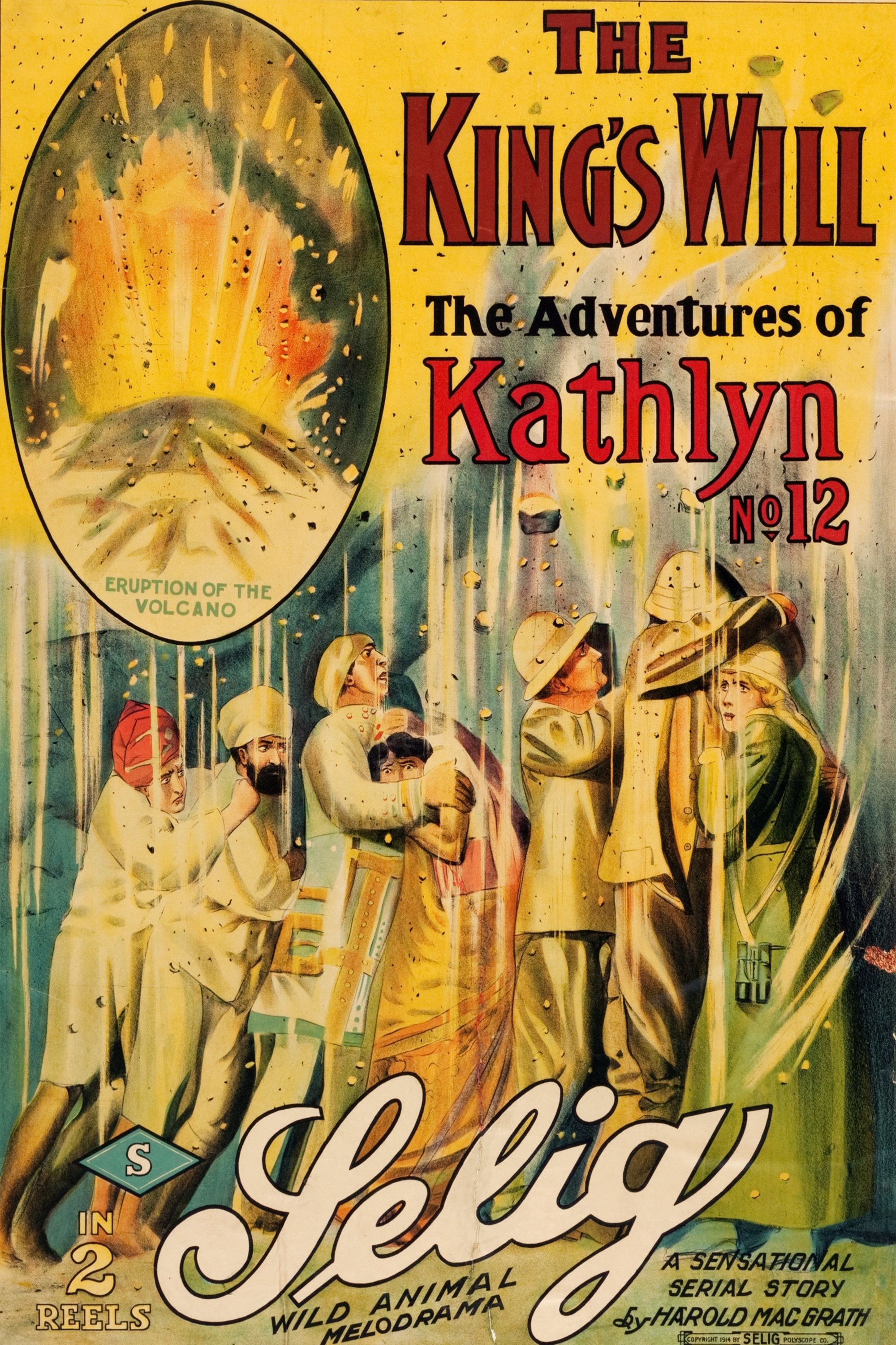 The King's Will poster