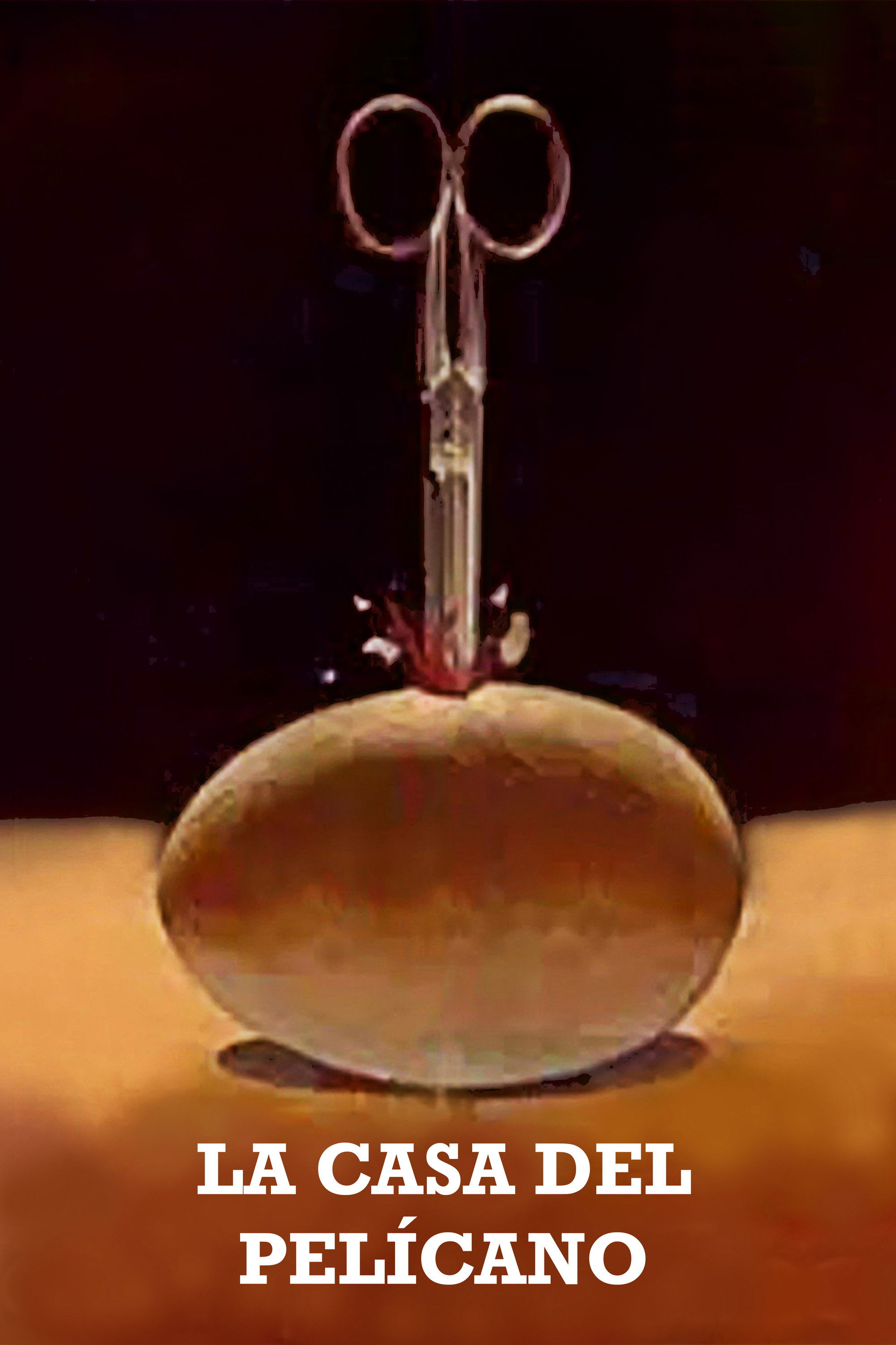 The House of the Pelican poster