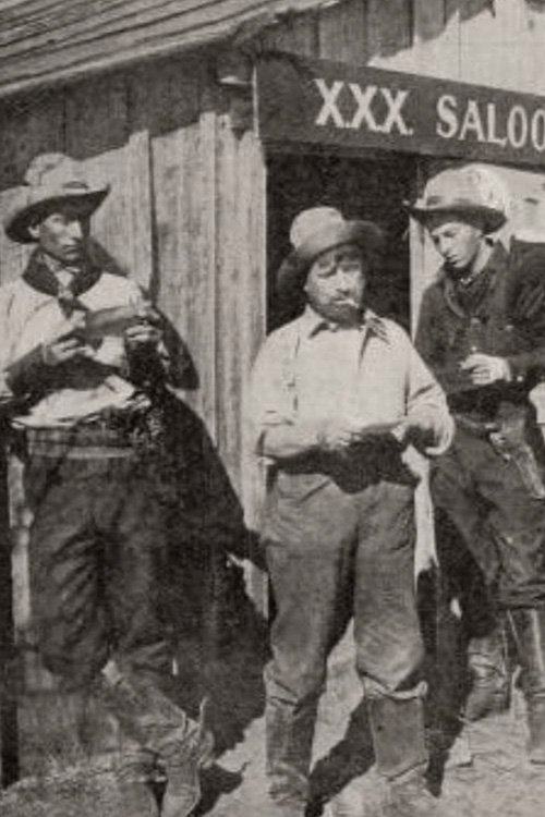 The Redemption of Rawhide poster