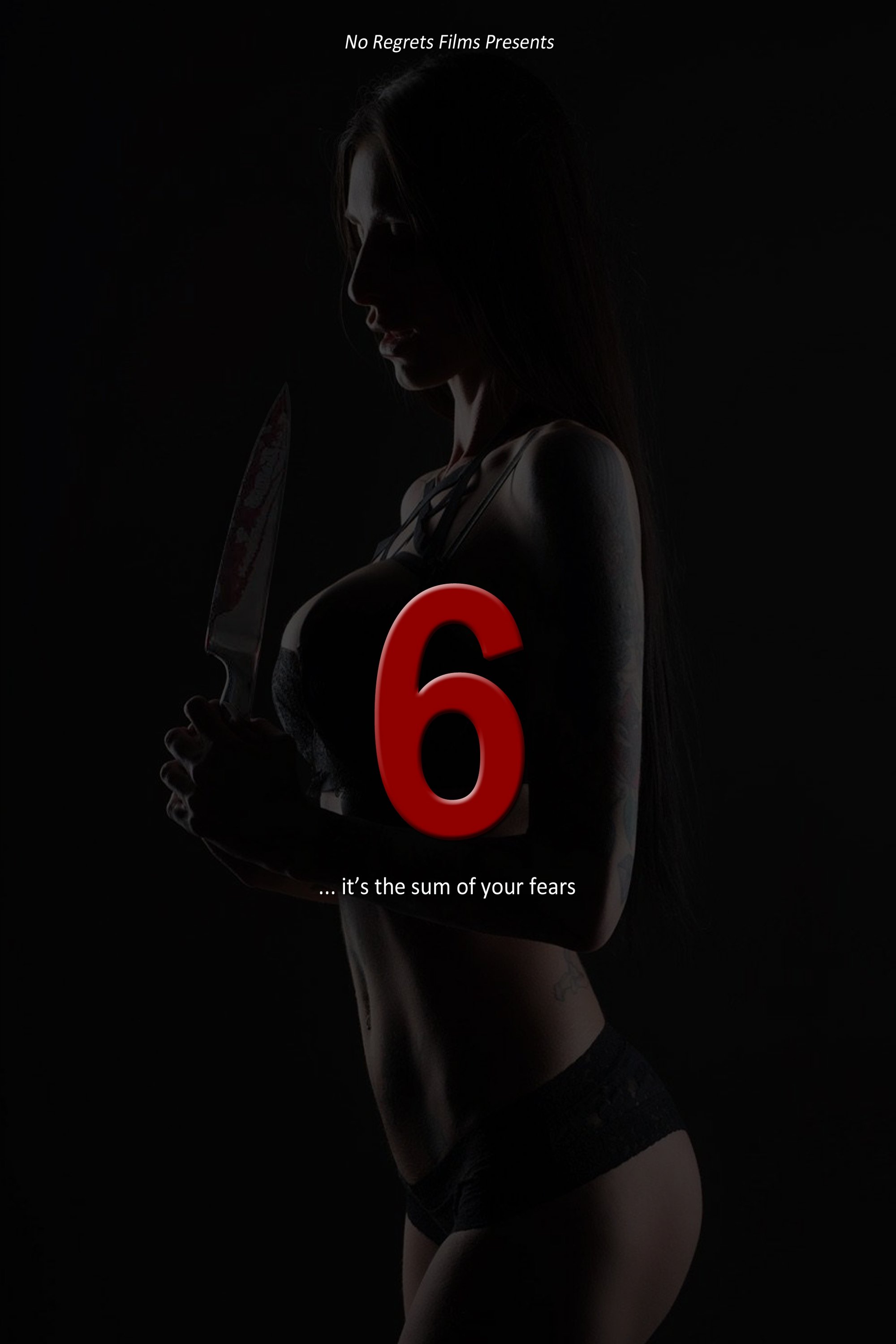 6 poster