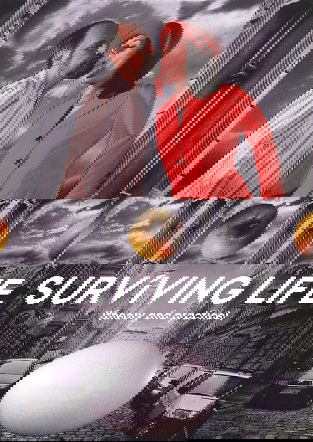 Surviving Life (Theory and Practice) poster