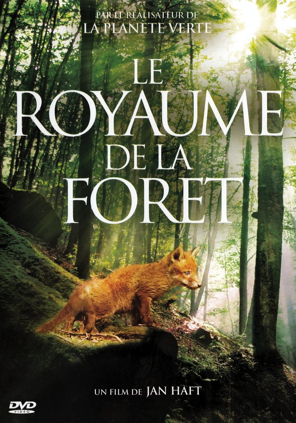 Mythos Wald poster