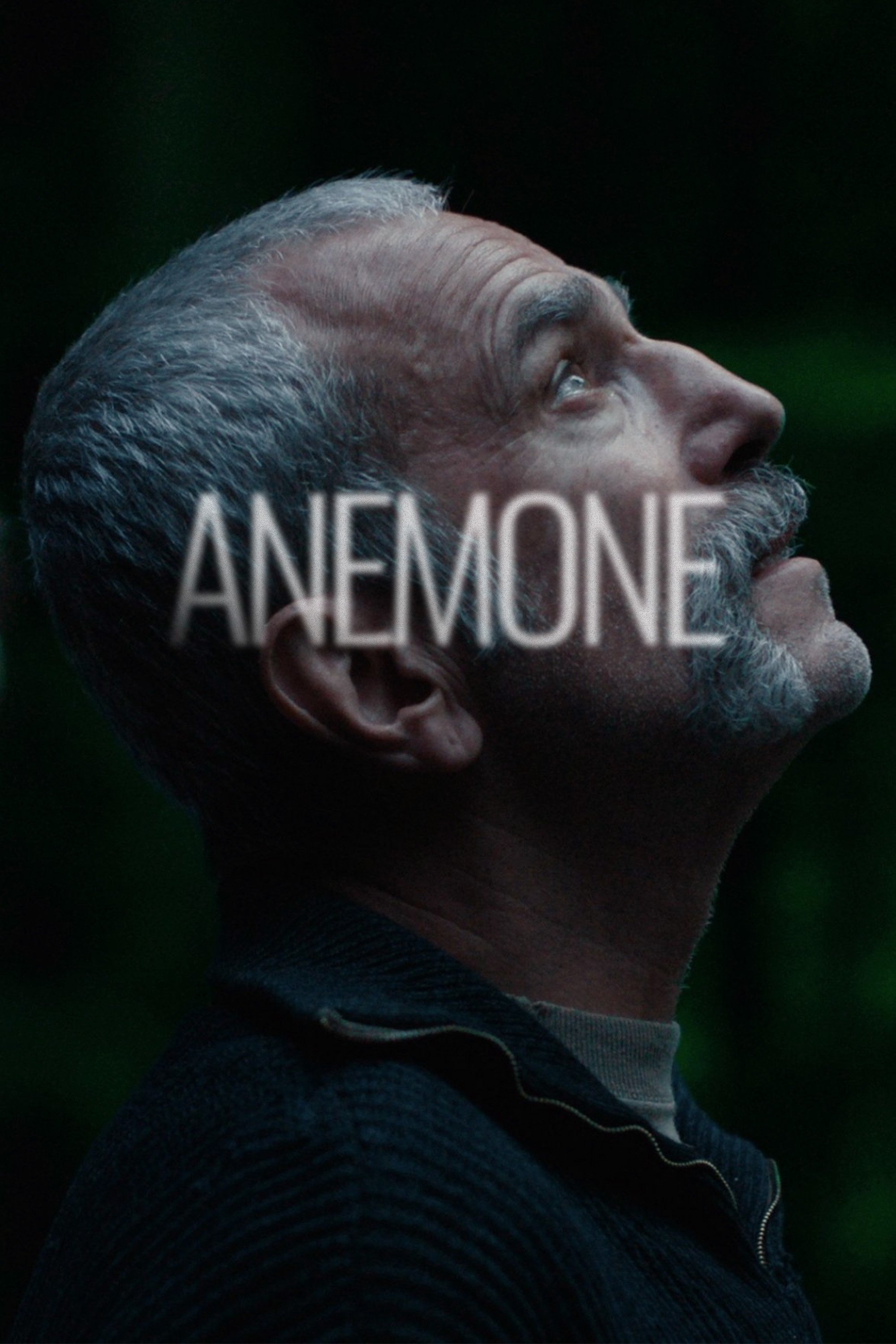 Anemone poster