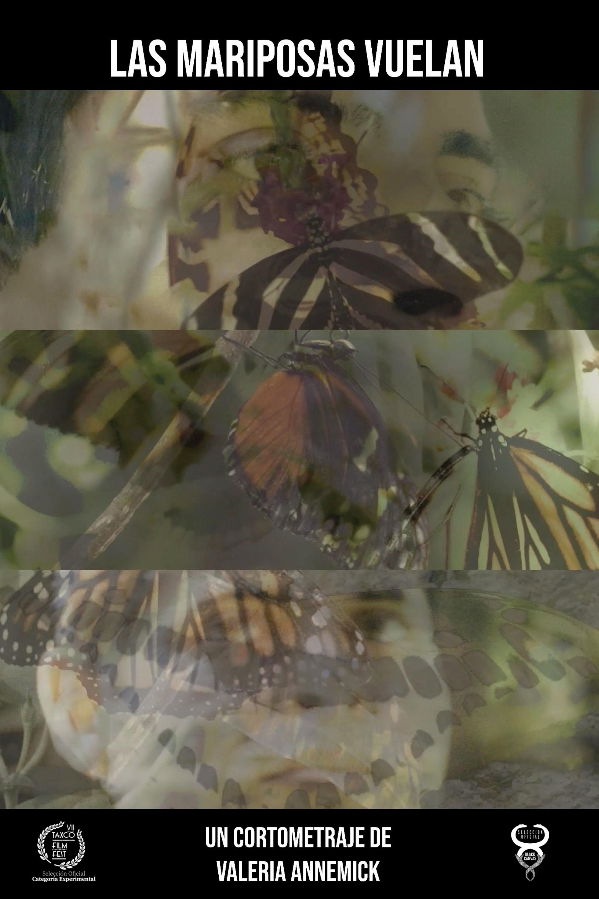 Las mariposas vuelan poster