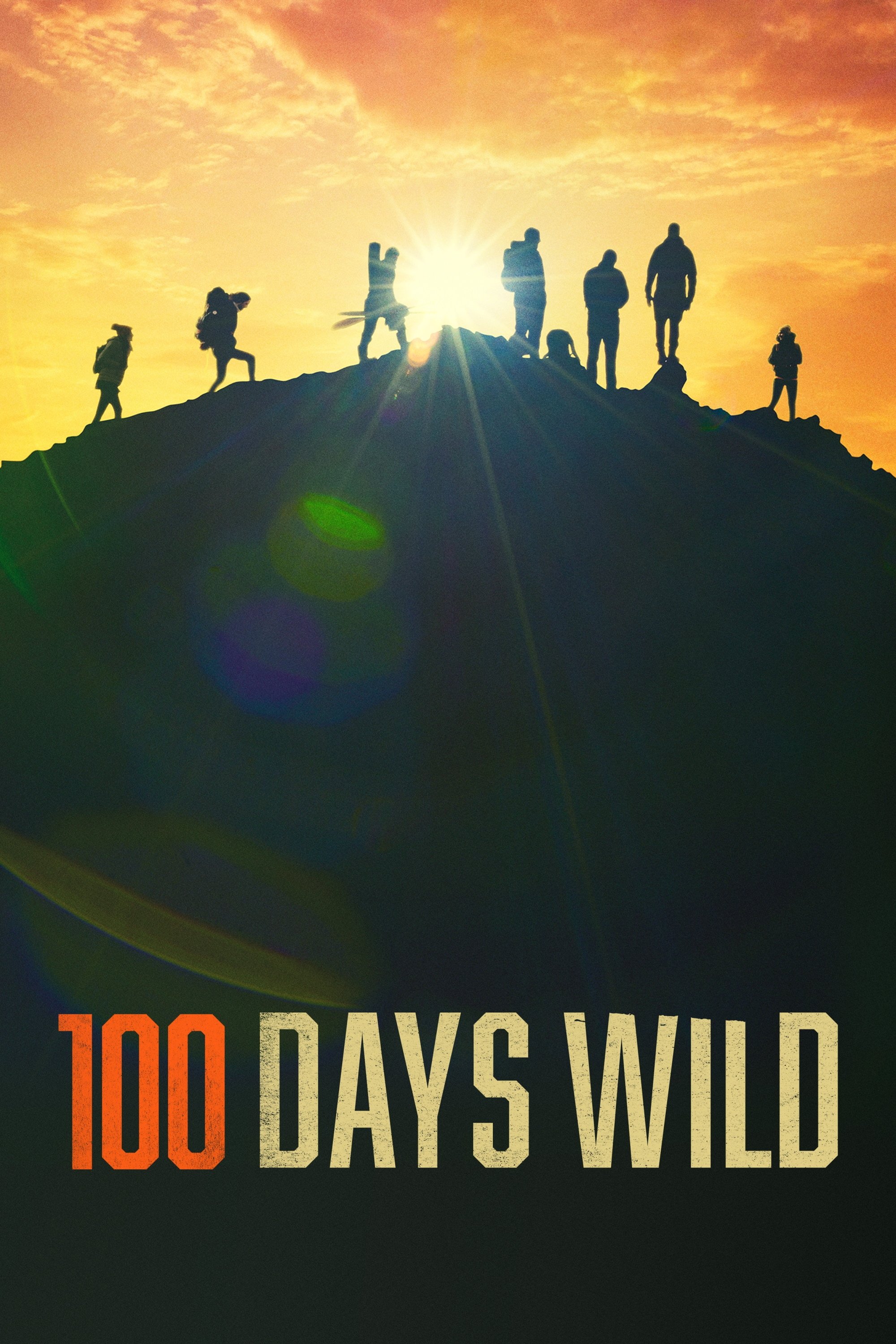 100 Days Wild poster
