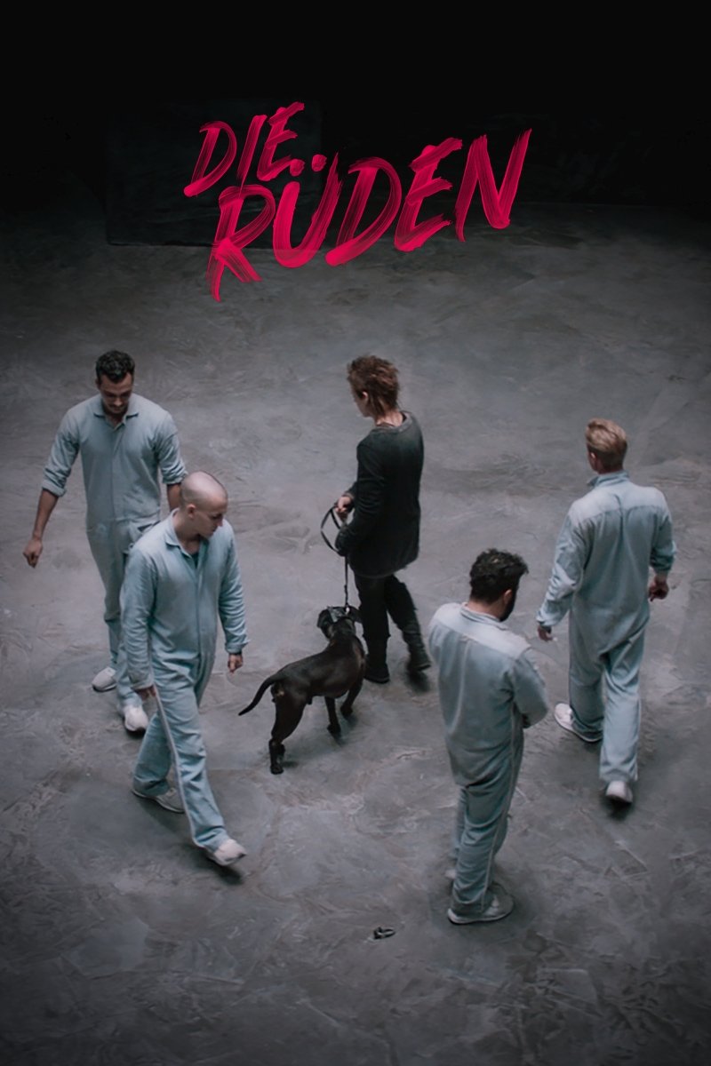 Die Rüden poster