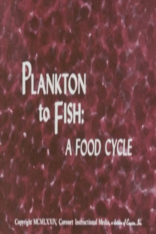 Plankton to Fish: A Food Cycle poster