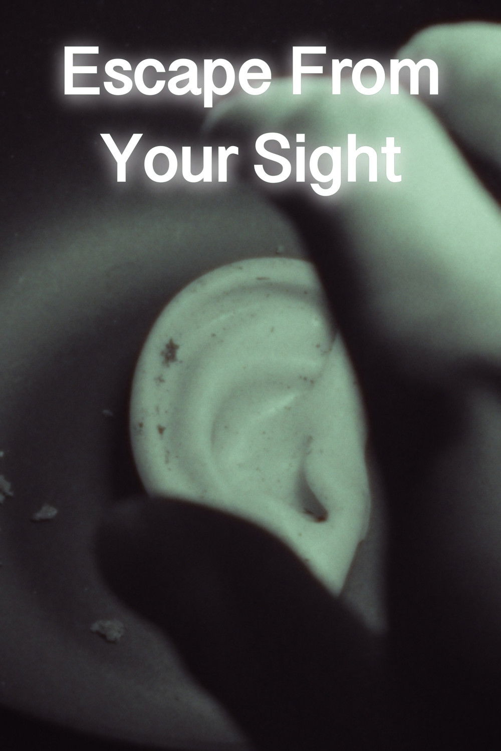 Escape From Your Sight poster