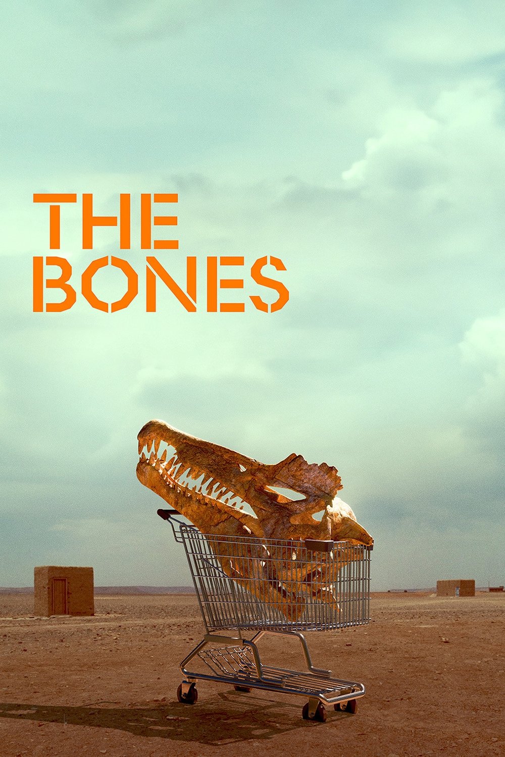 The Bones poster