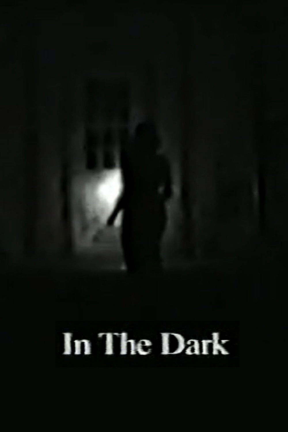 In the Dark poster