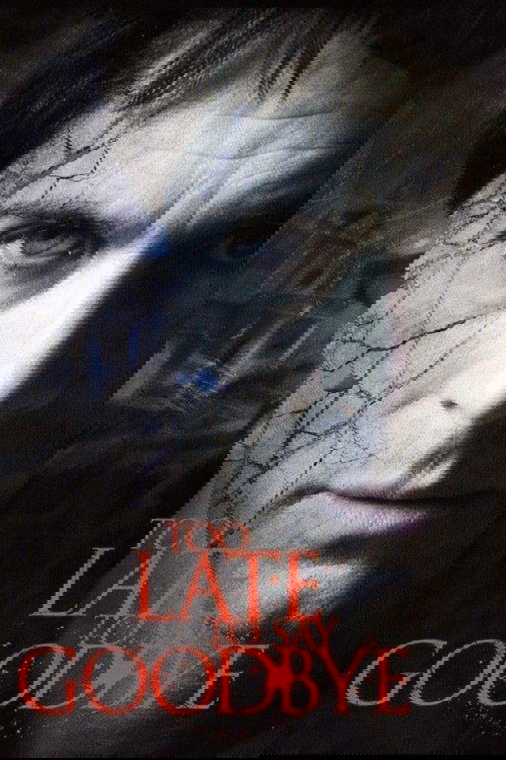 Too Late to Say Goodbye poster