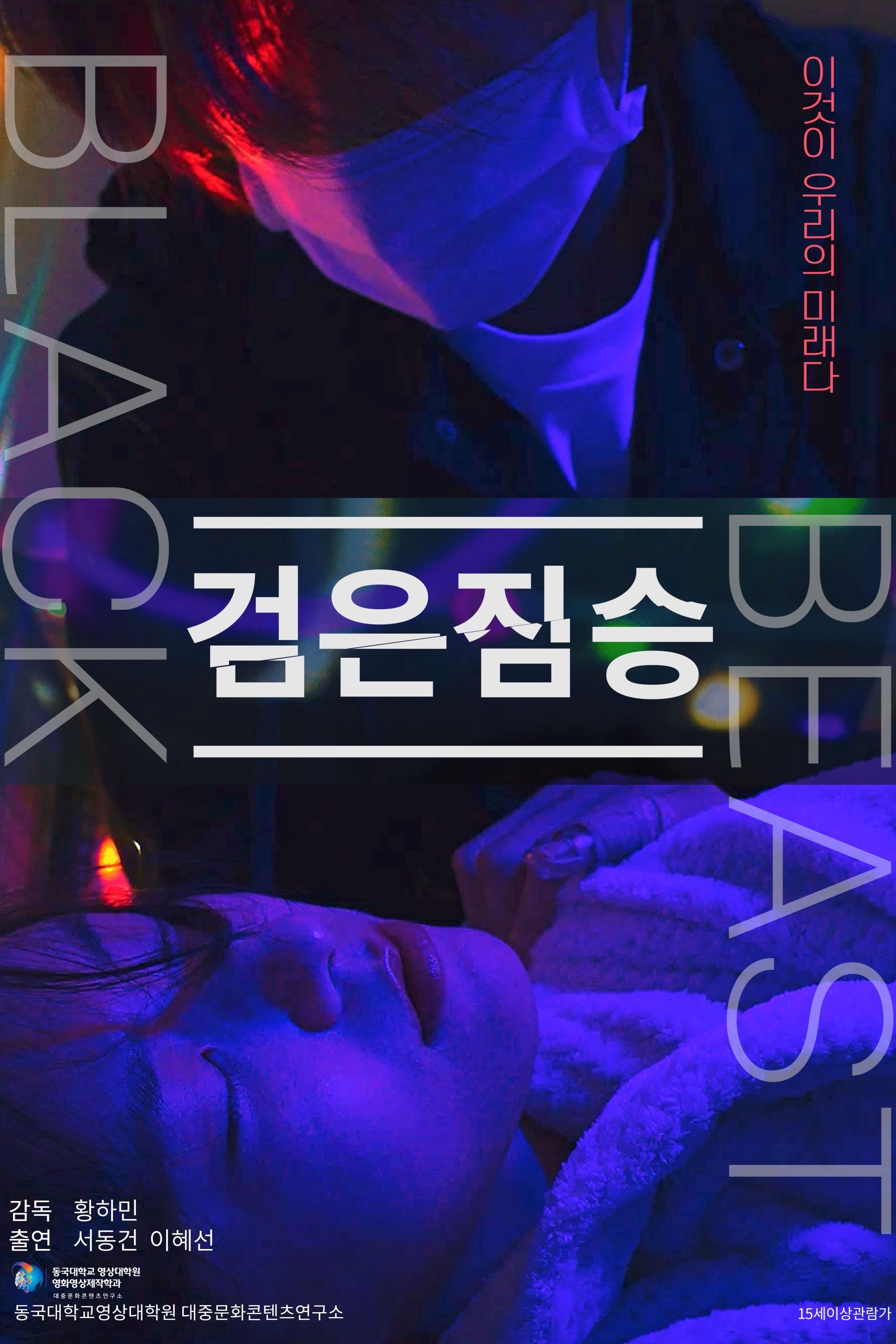 Black Beast poster