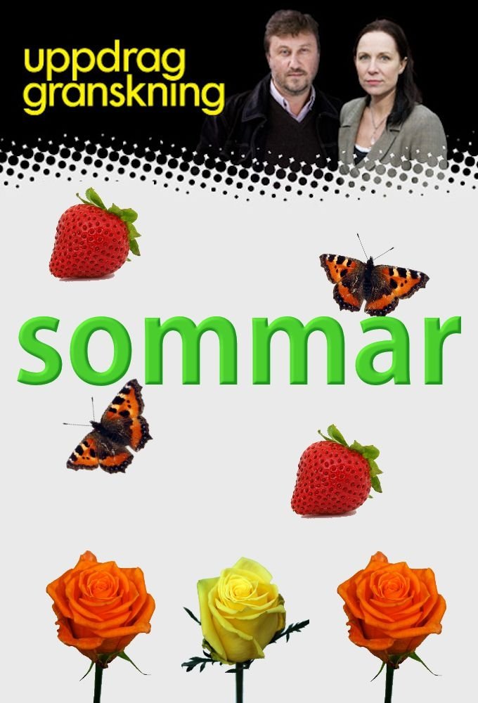 Uppdrag granskning sommar poster