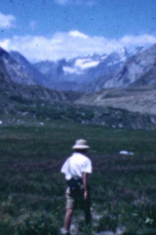 Ladakh poster