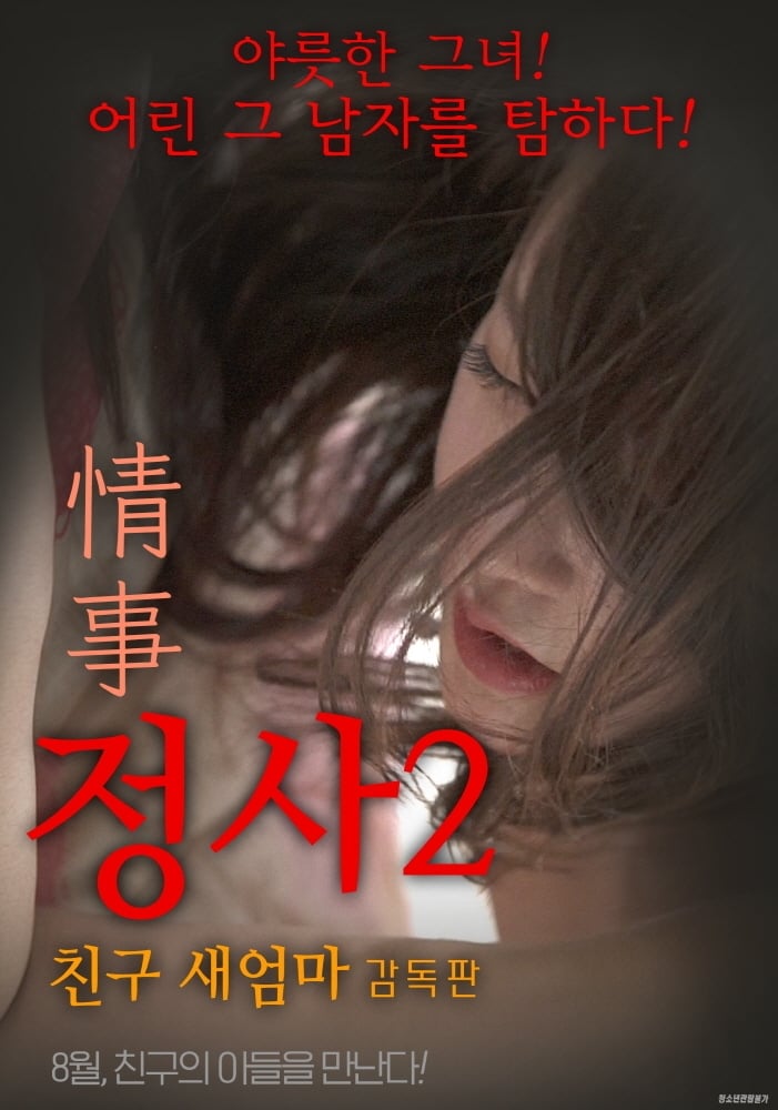 An Affair 2: My Friend's Step Mother - Director's Cut poster