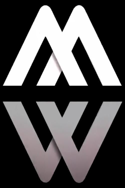 Les Reportages de Martin Weill poster