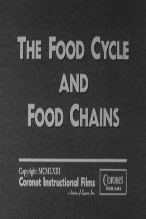The Food Cycle and Food Chains poster