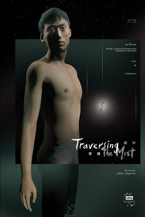 Traversing the Mist poster