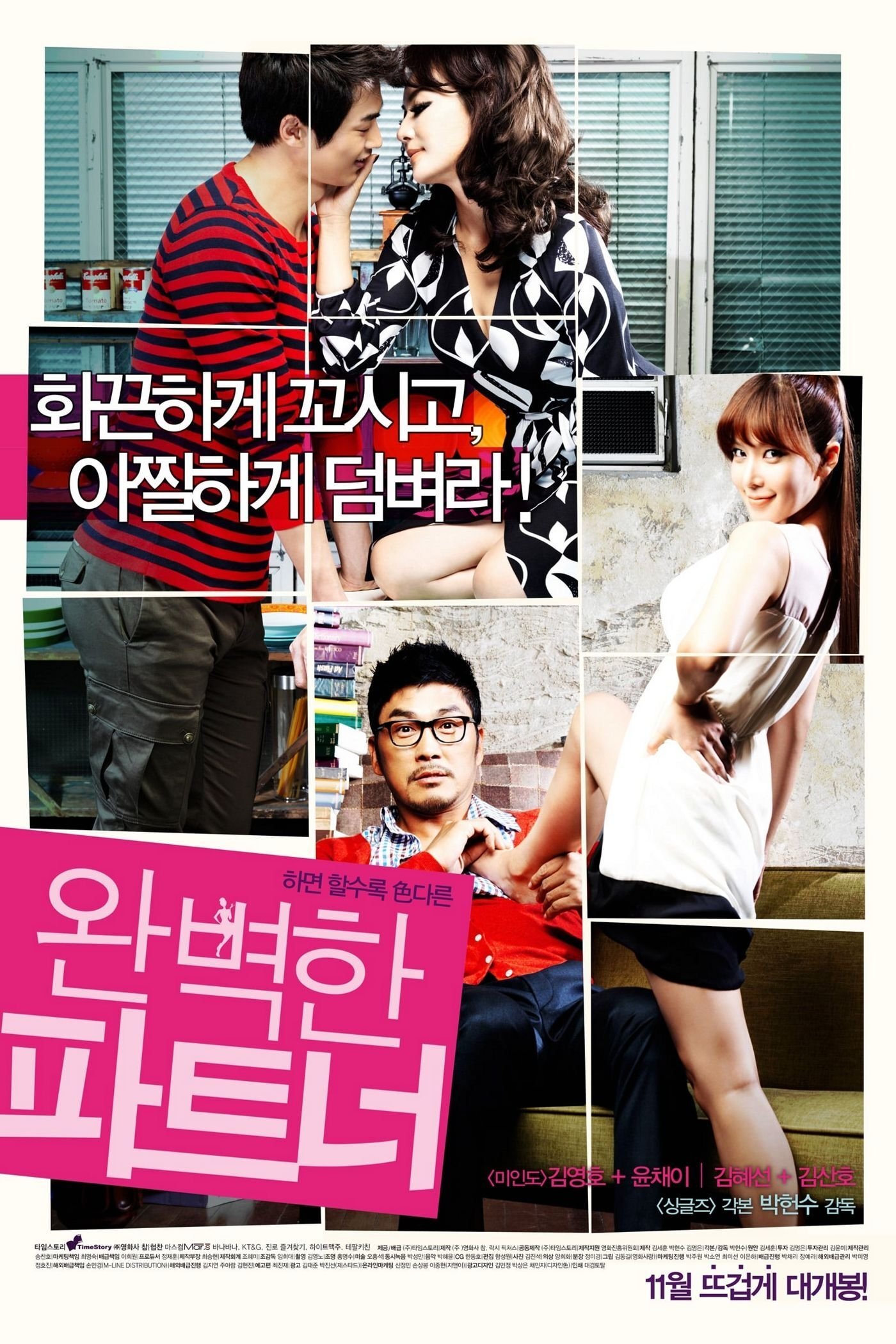 My Secret Partner poster