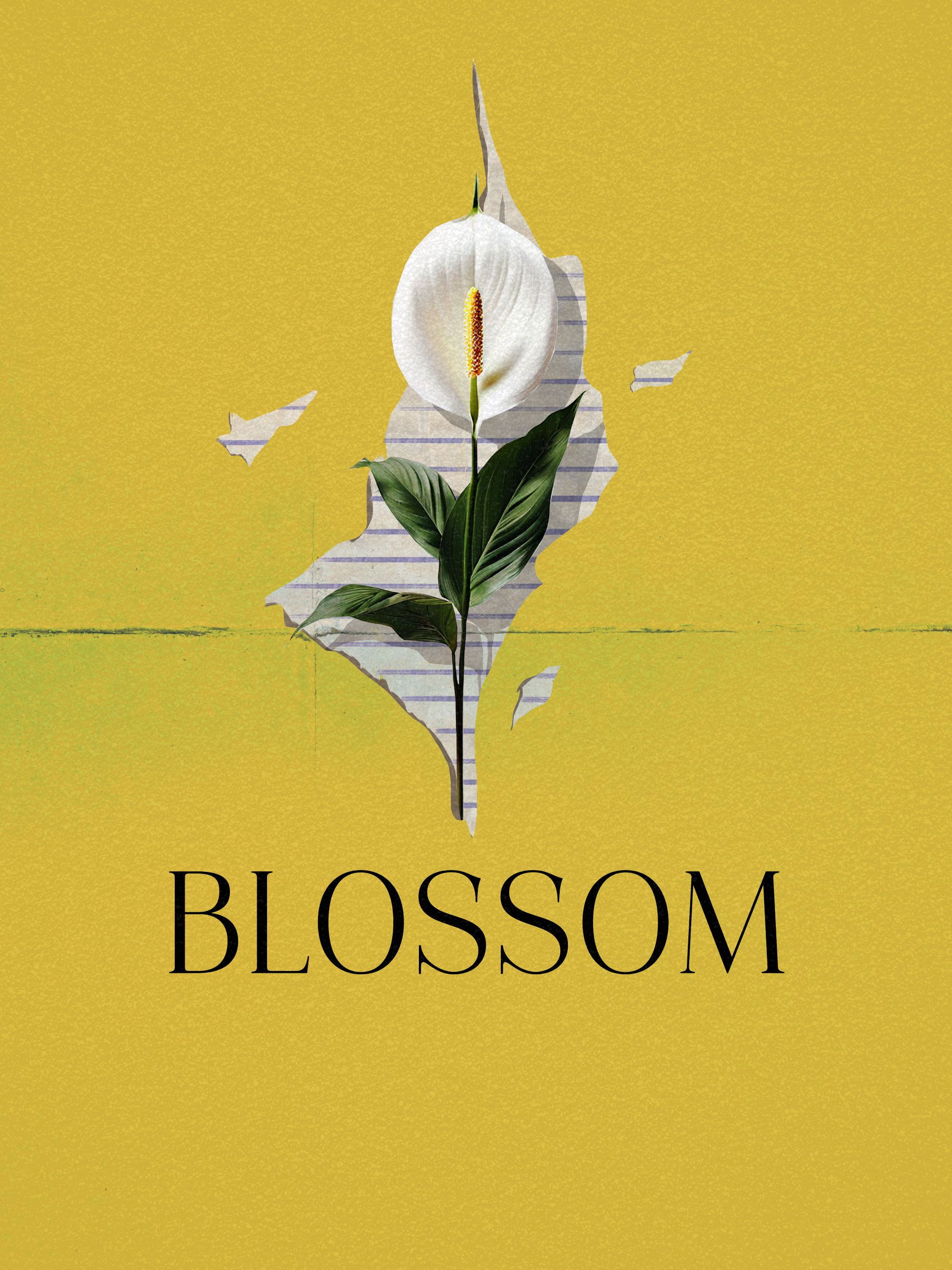 Blossom poster