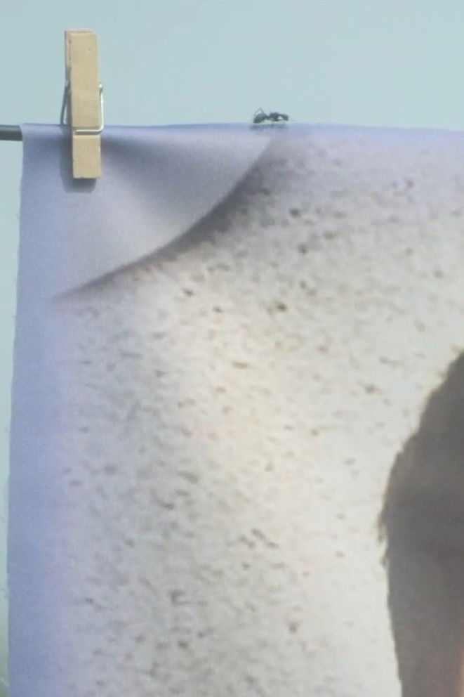 The Living Ones poster