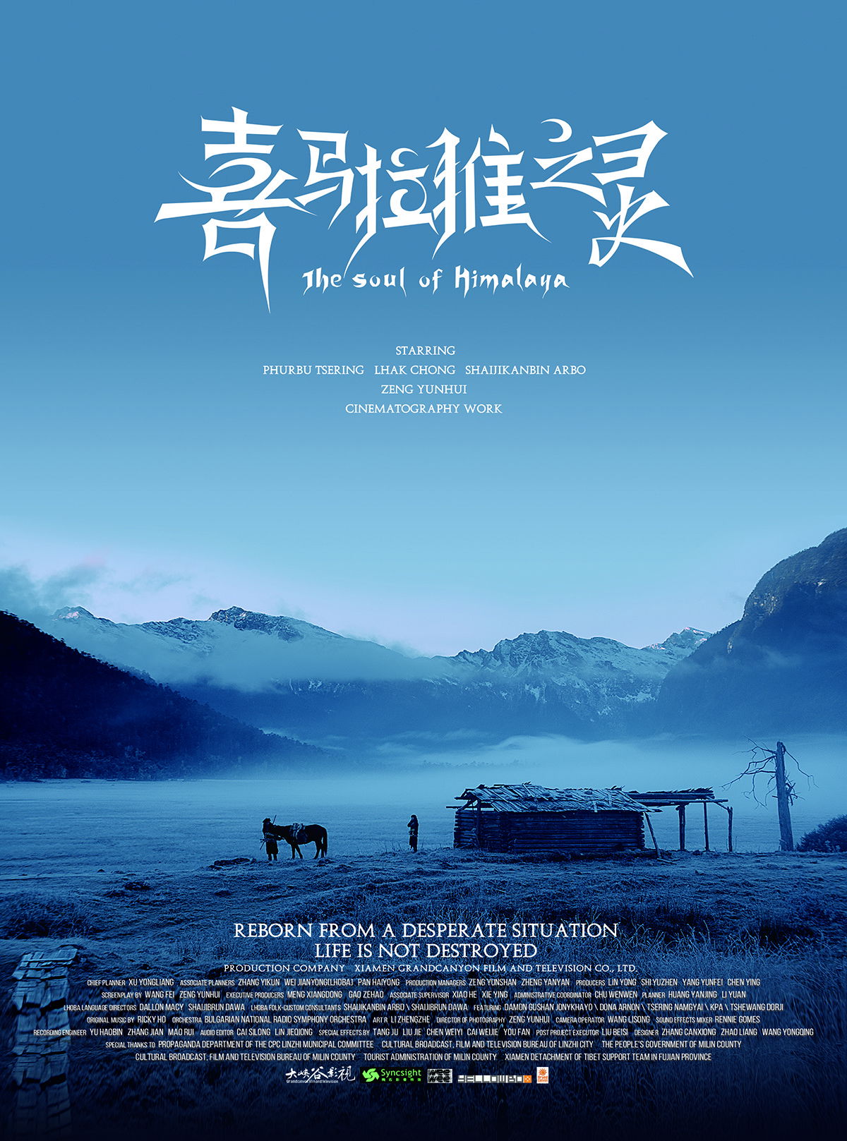 The Soul of Himalaya poster