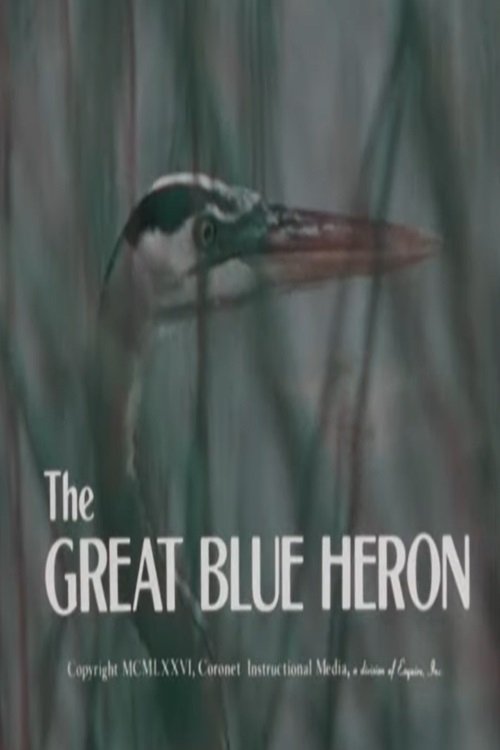 The Great Blue Heron poster