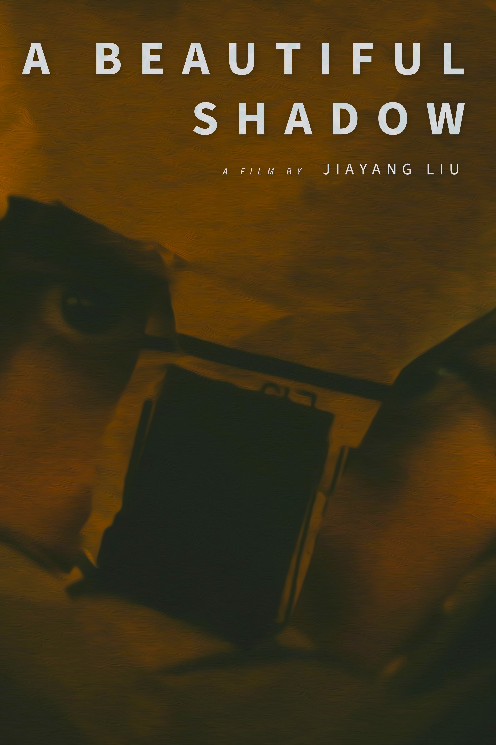 A Beautiful Shadow poster