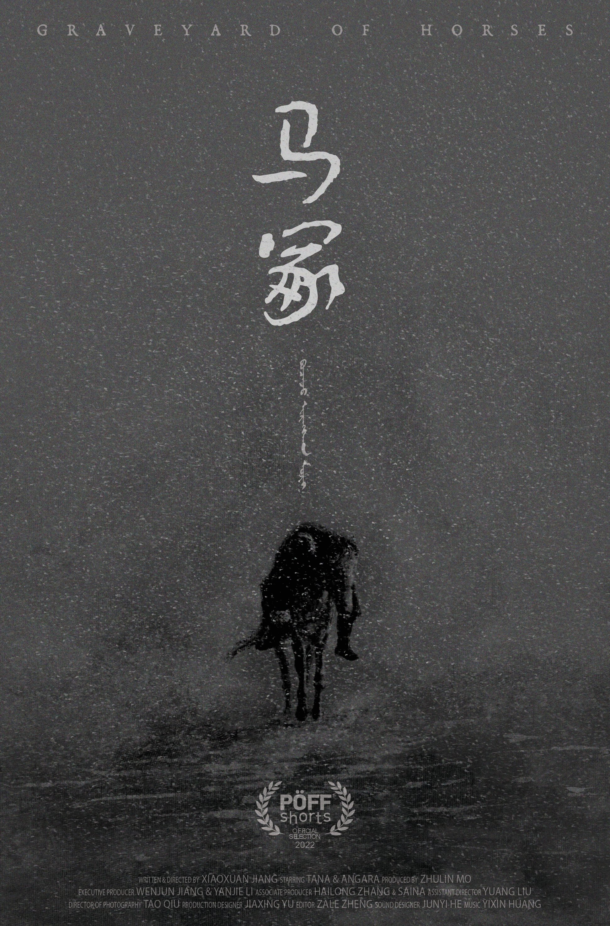Graveyard of Horses poster