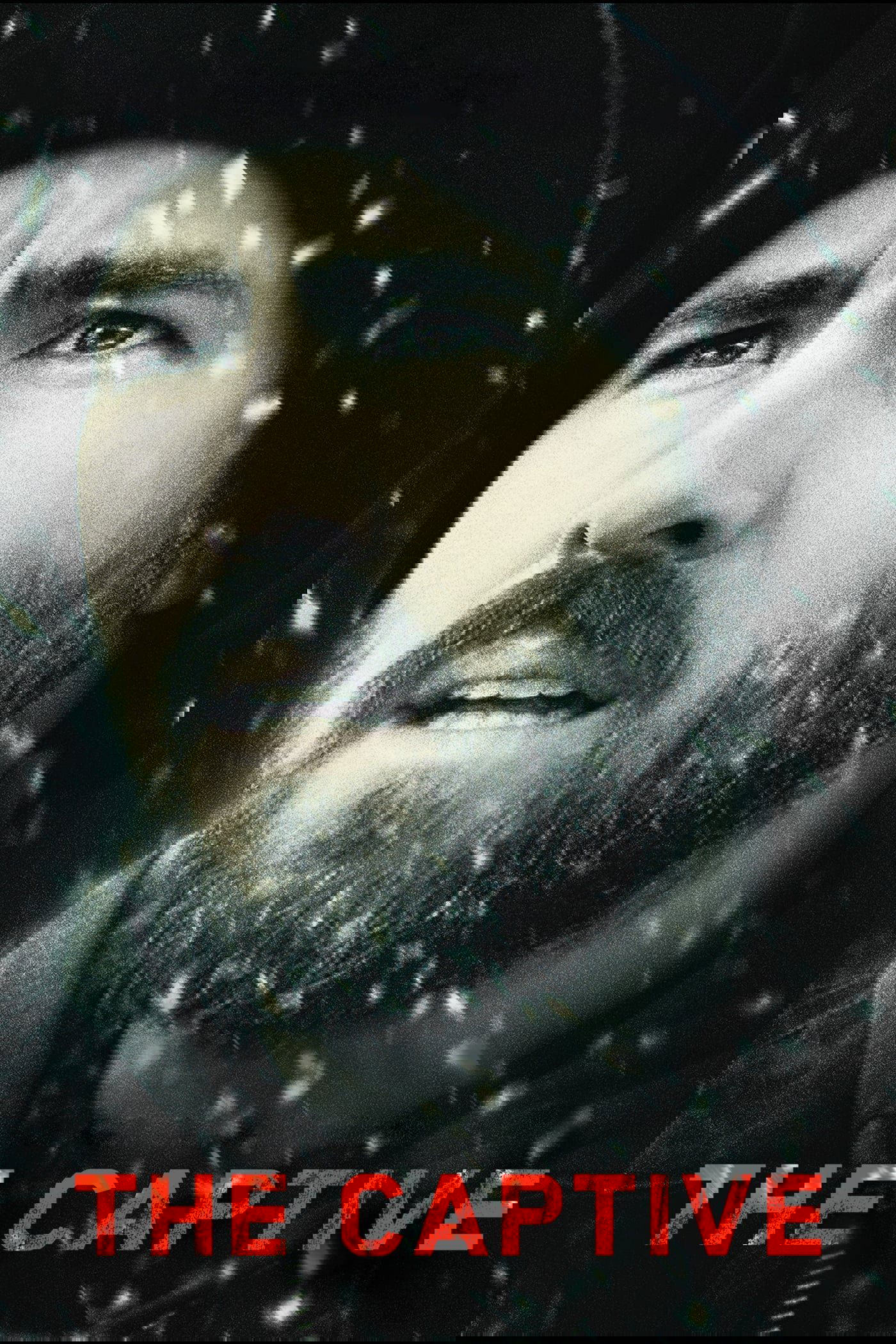 The Captive poster