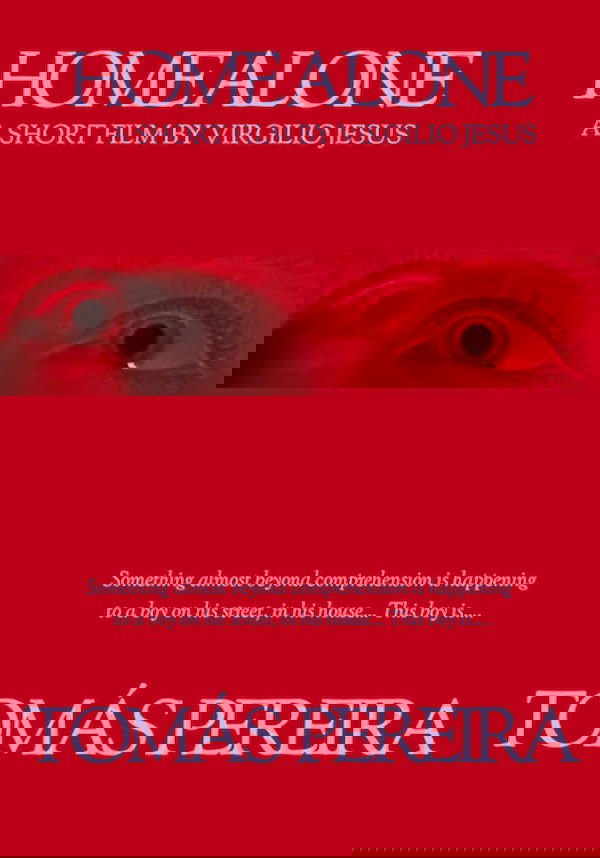 Home Alone poster