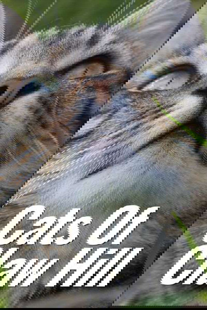 Cats of Claw Hill poster