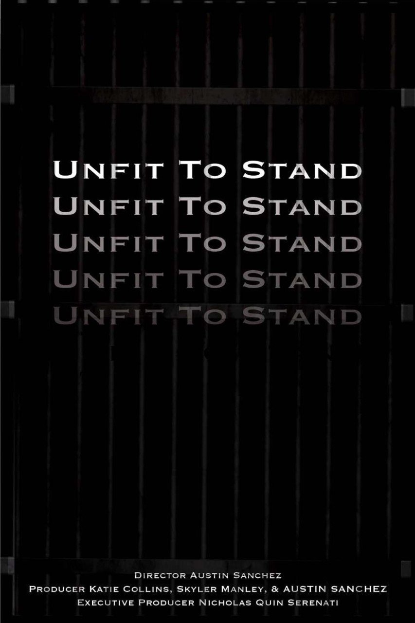 Unfit To Stand poster