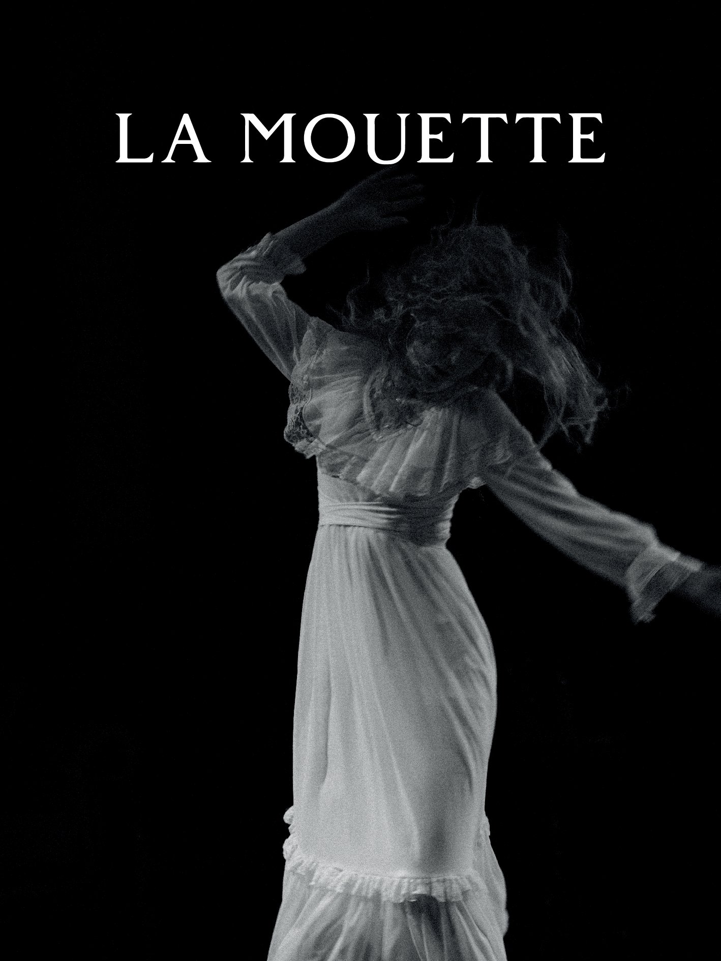 The Seagull poster
