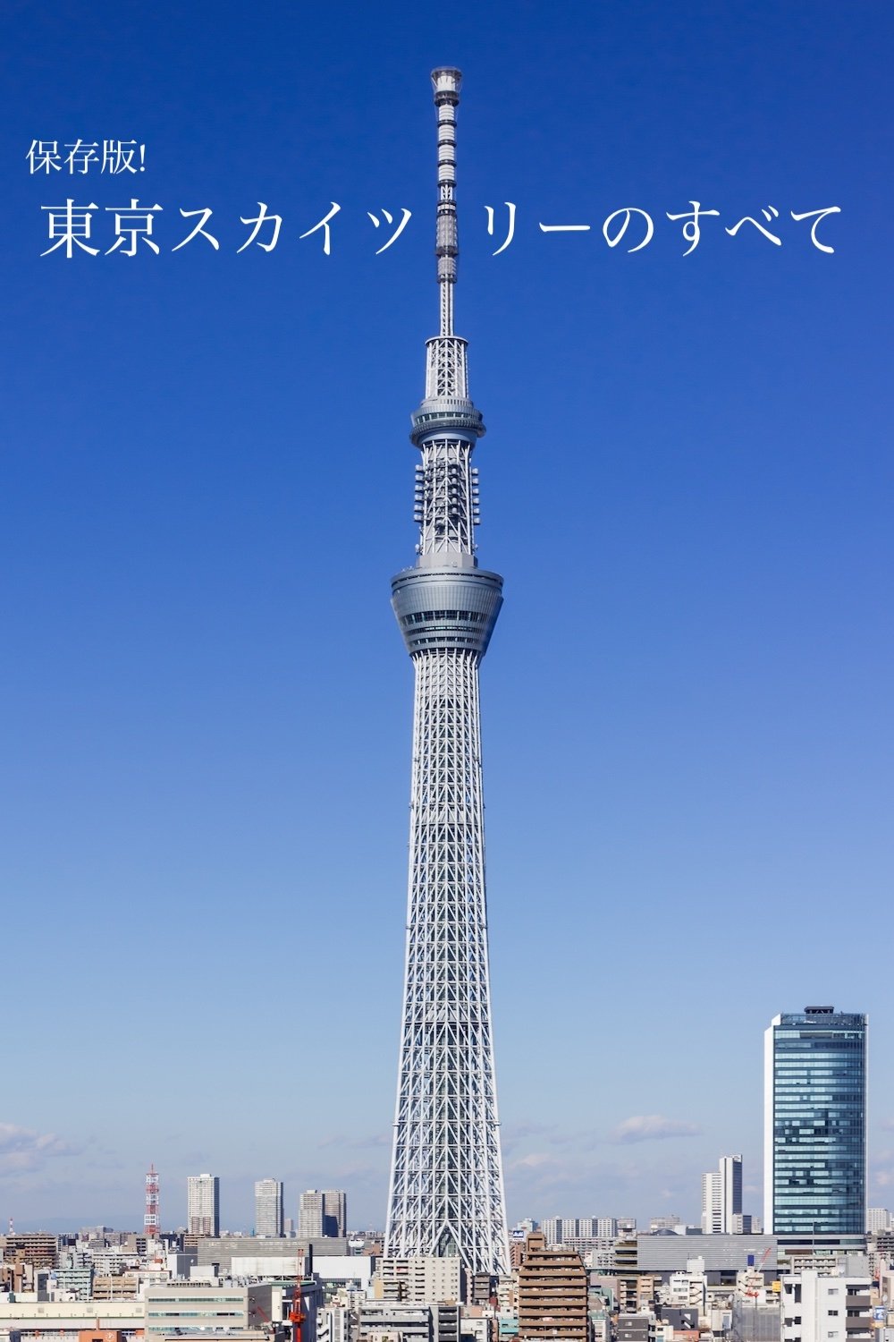 Everything about the TOKYO SKYTREE - the Chronicle poster