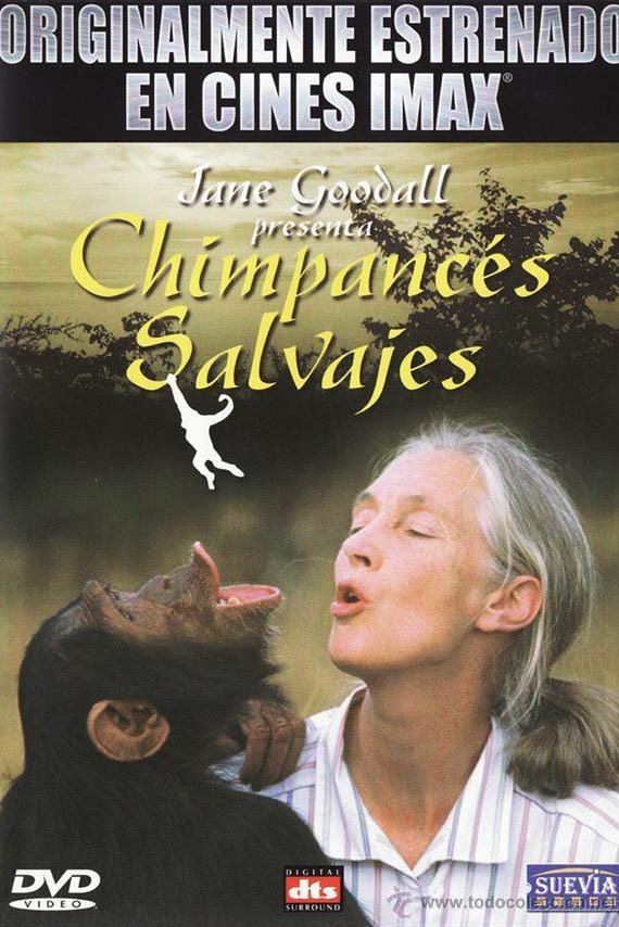 Imax - Chimpances Salvajes poster