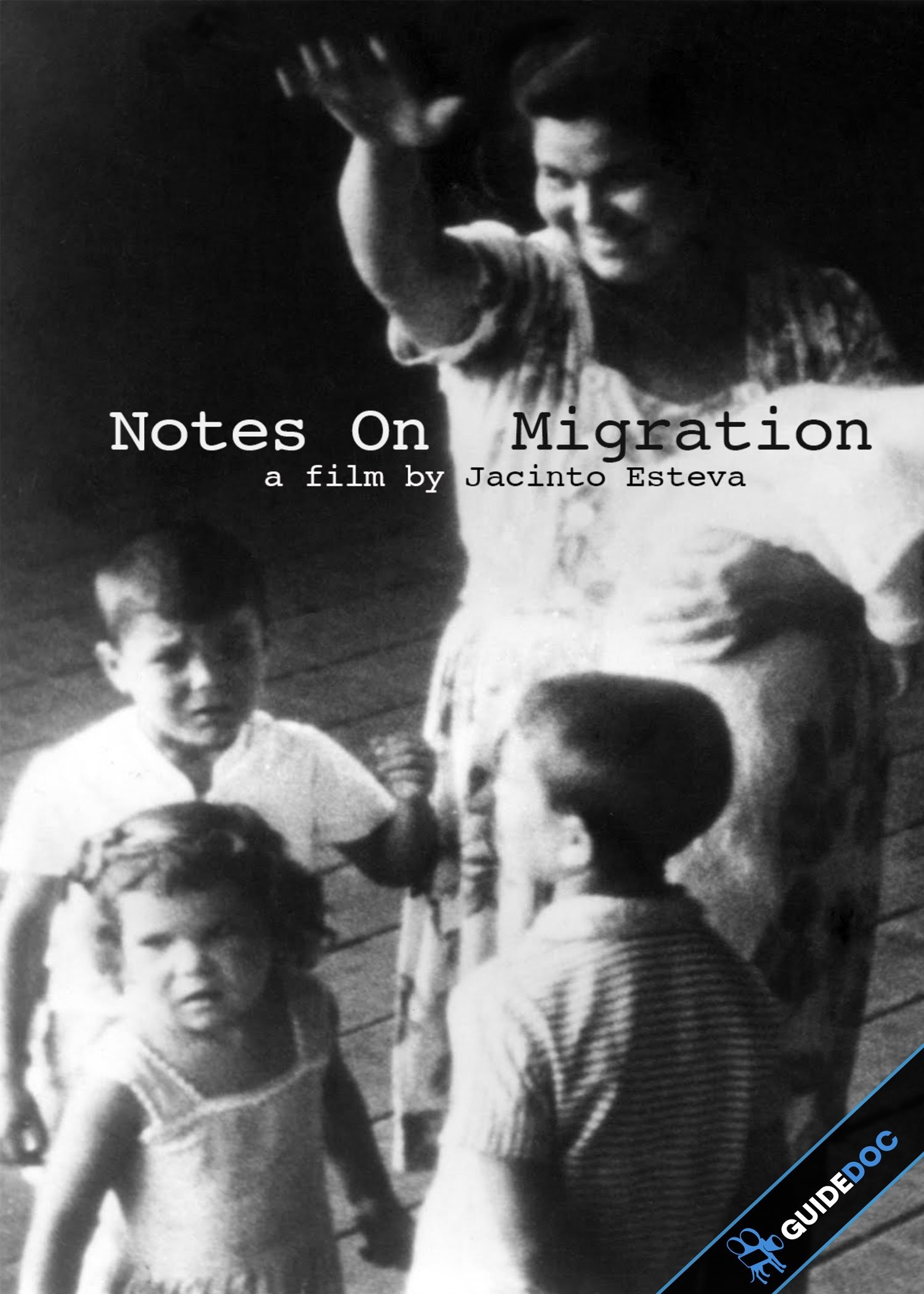 Notes On Migration poster