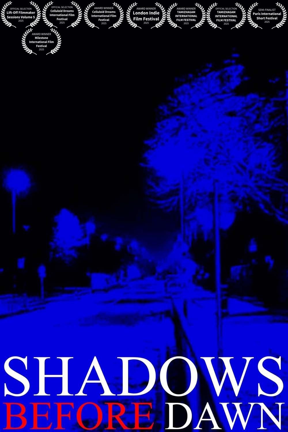 Shadows Before Dawn poster