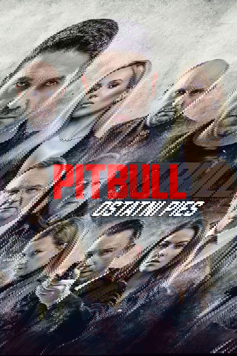 Pitbull. Last Dog poster