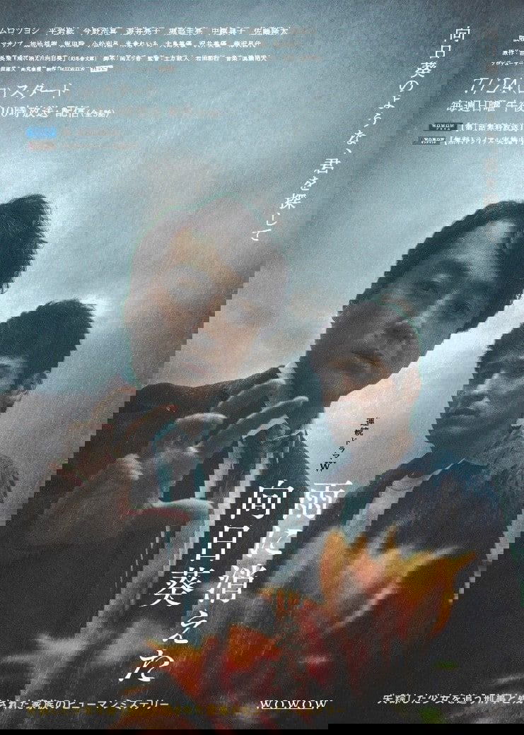 The Sunflower Disappeared in the Rain poster