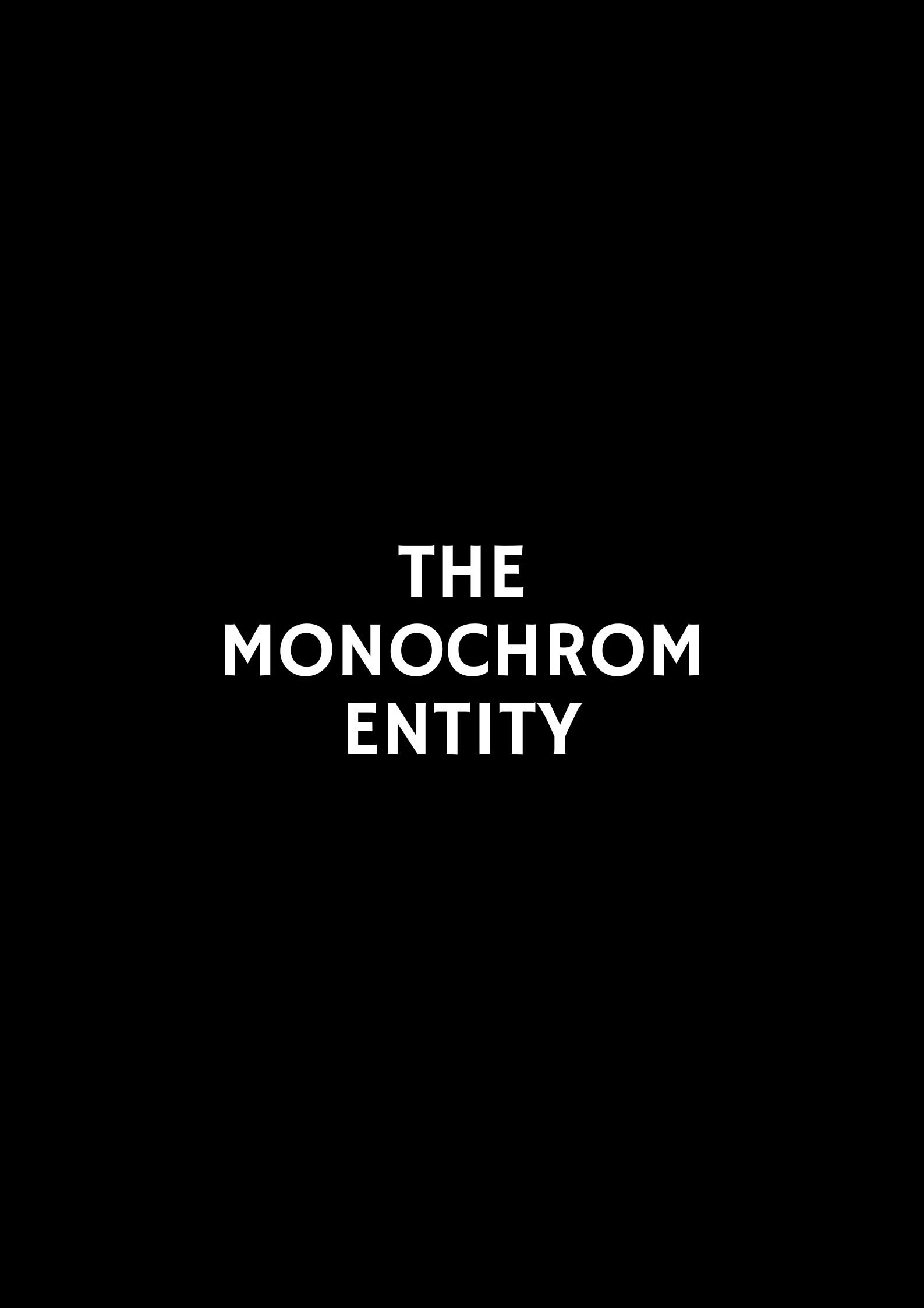 The Monochrom Entity poster