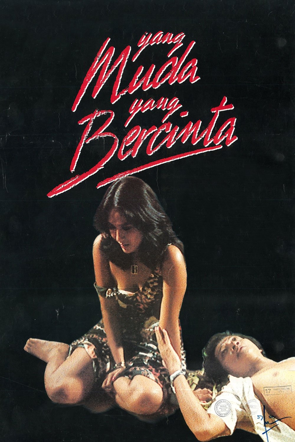 Young, in Love poster