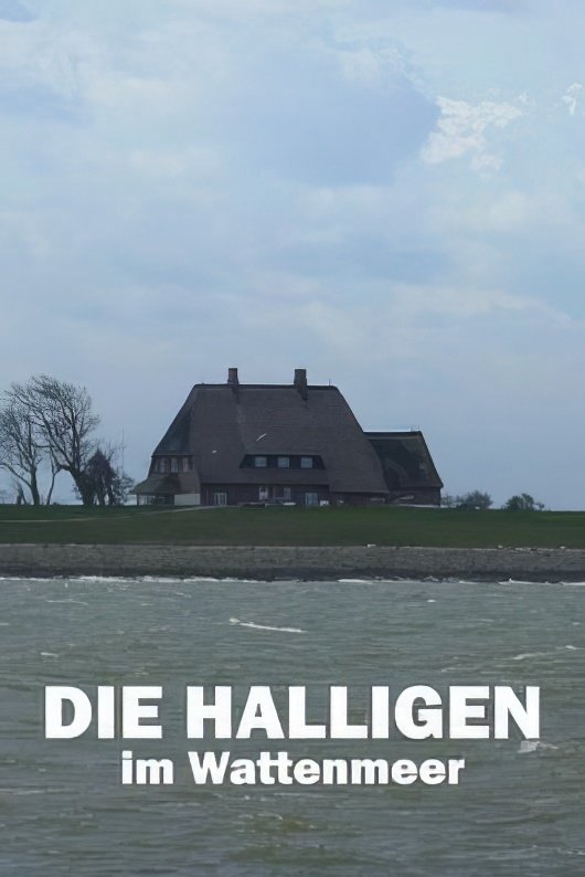 Die Halligen im Wattenmeer poster