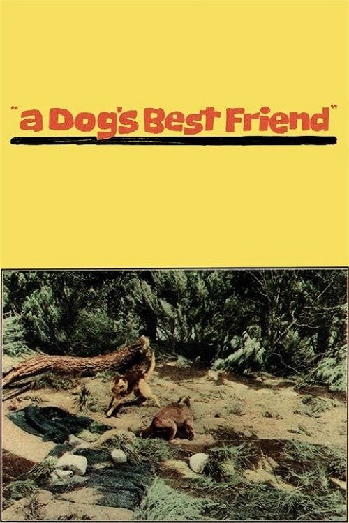 A Dog's Best Friend poster