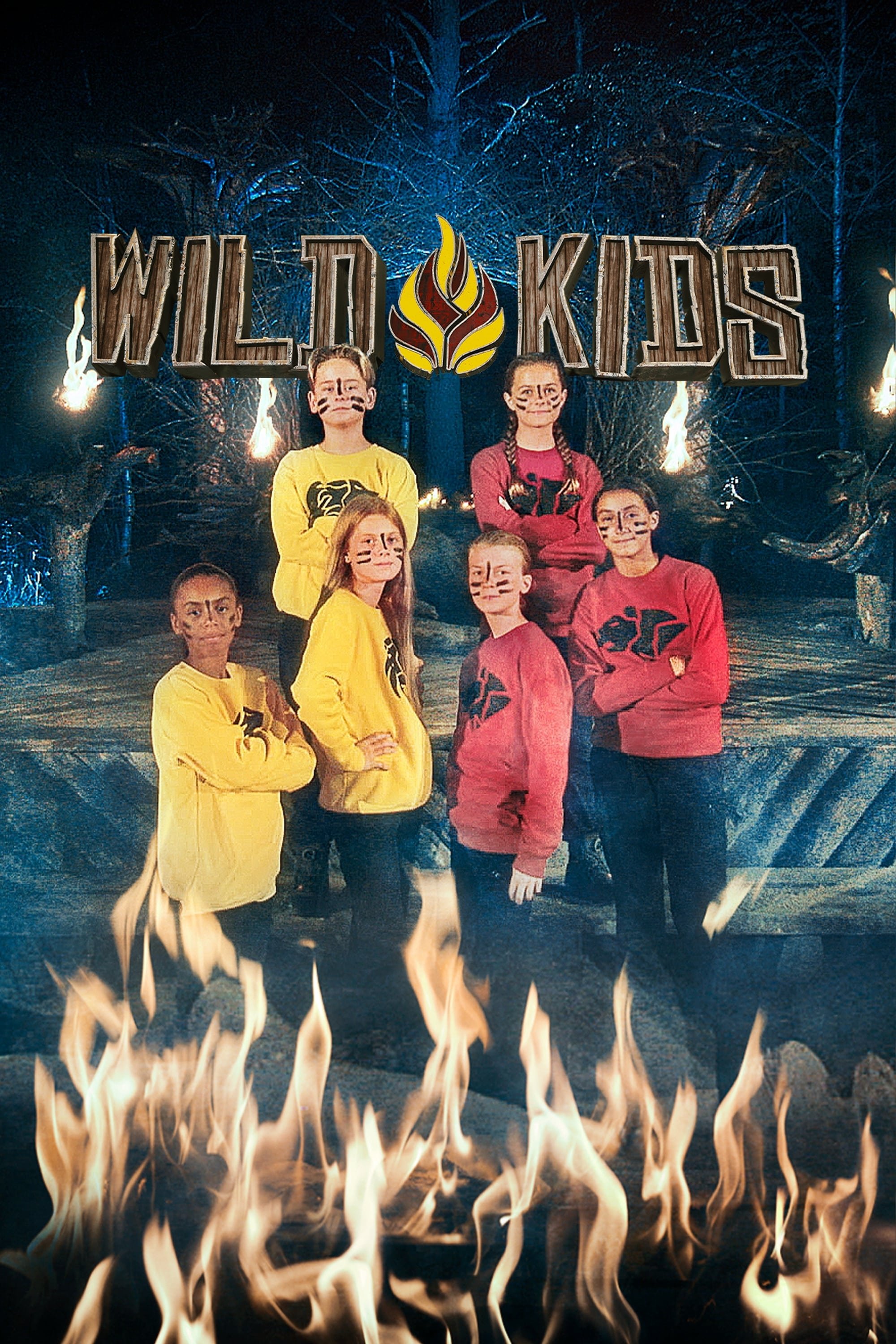 Wild Kids poster