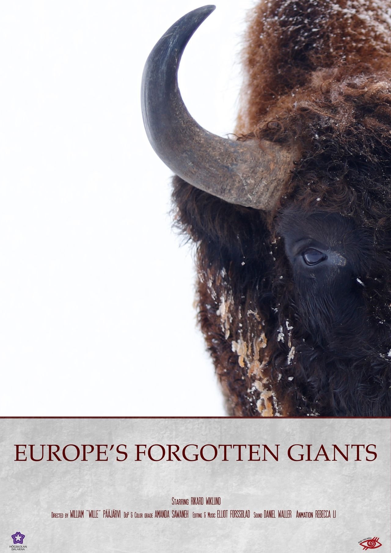 Europe´s Forgotten Giants poster