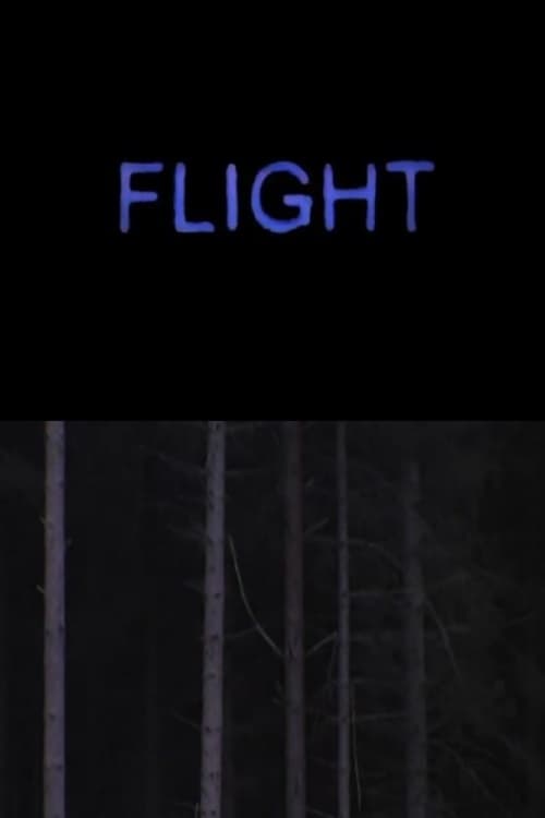 Flight poster